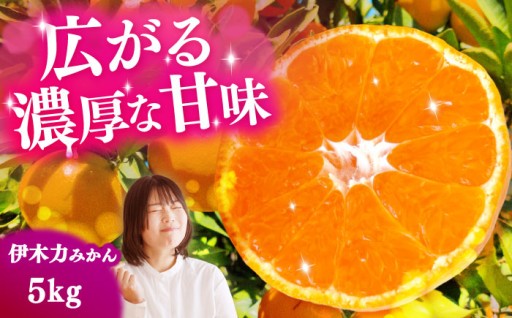 長崎の至宝！200年の歴史が育む「伊木力みかん」