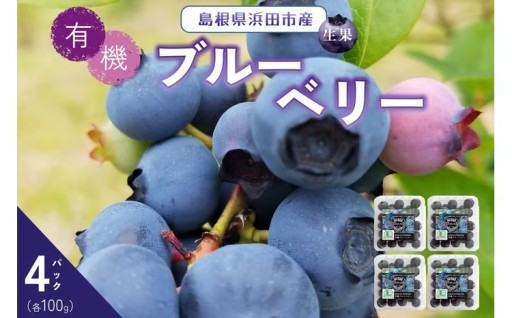 大粒で甘くてジューシーな🫐完熟ブルーベリー🫐