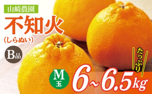 【3月末頃から順次発送】山崎農園の不知火 B級品 6～6.5kg M玉