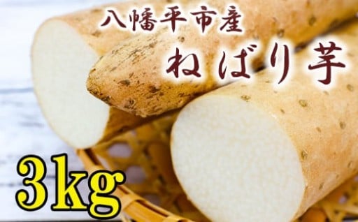 予約承り中！敦子さんが育てた春掘りたねばり芋！