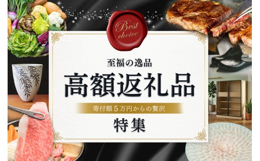 ＼ 至福の逸品！高額返礼品特集 ／