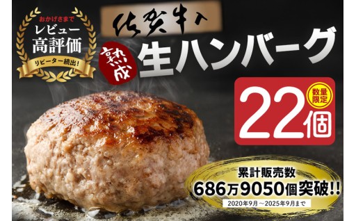 ✨✨✨安定の味と品質！佐賀牛入りハンバーグ 22個✨✨✨