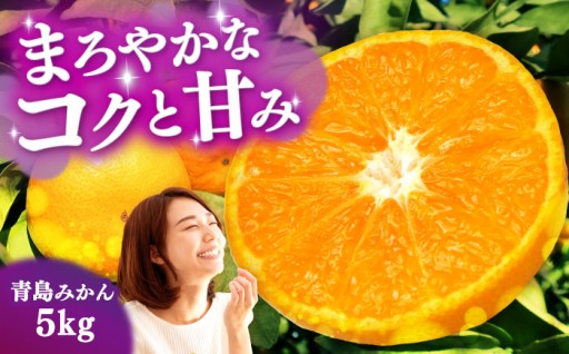 熟成の甘み！貯蔵でコクが増す「青島みかん」