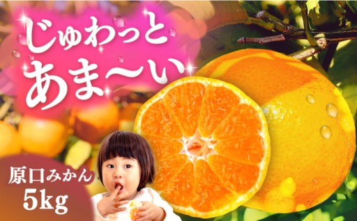 一度食べれば虜に！「原口みかん」で極上の甘みを