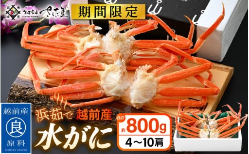 【期間限定】みずみずしい身！ふわっとした甘み🦀