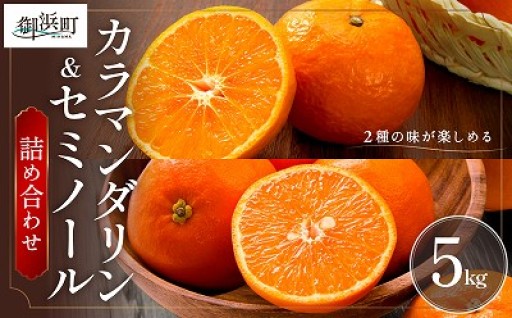 【美味しさ２倍🍊🍊✨】ミカファームのカラマンダリン＆セミノール5キロ