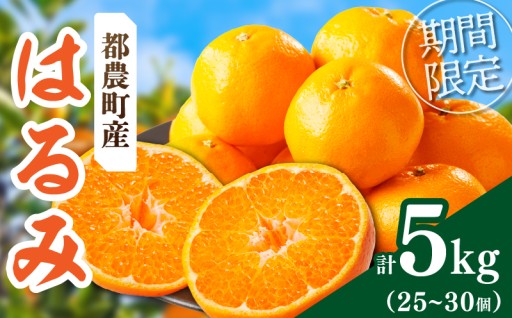 【宮崎県都農町】🚨締め切りまであと少し🚨希少な柑橘『はるみ』計5kg🍊