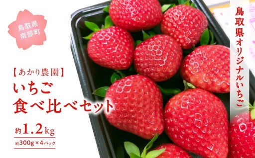 【いちご食べ比べ】人気品種をセットでお届け！