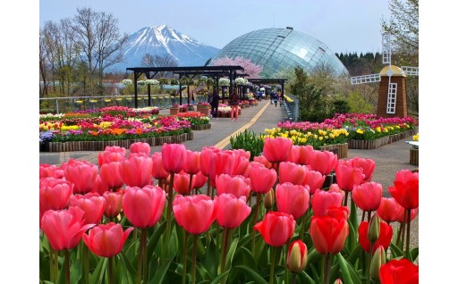 とっとり花回廊ギフト入園券２枚！