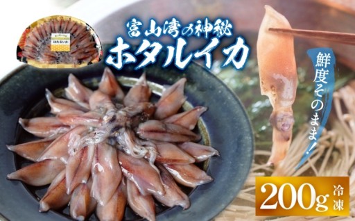 ＼鮮度そのまま！／富山湾の神秘ホタルイカ しゃぶしゃぶ用 200g 〈冷凍〉