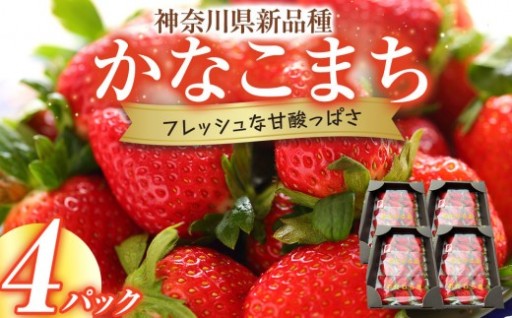 【期間限定・数量限定！】神奈川県新品種「かなこまち」　完熟イチゴ　苺　4パック入り