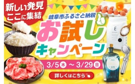 ＼お試しキャンペーン／始まりました！！