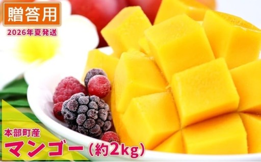 【2026年夏発送】もとぶ町産マンゴー（贈答用）約2kg詰め