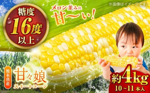 【先行予約】自然の甘さが凝縮したとうもろこし！