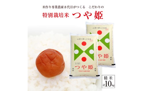 【新米予約スタート！】米専業農家こだわりの「つや姫」10kg
