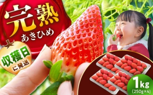 間もなく受付終了！ 旬のいちごをお届け