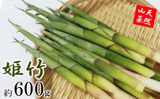 5月下旬発送開始予定！天然山菜 「皮付き竹の子」