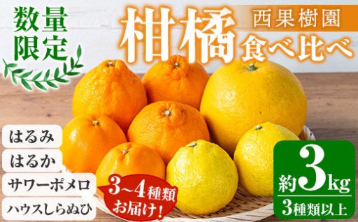 新登場・数量限定　西果樹園の柑橘食べ比べセット
