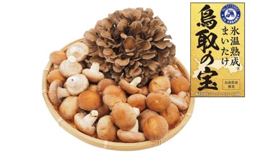 香り豊かな氷温熟成舞茸『鳥取の宝』