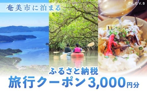 ふるさと納税旅行クーポン【3,000円～12,000円分】で奄美市へ行こう！！🛬