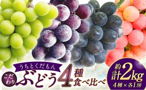 【うちとくだもん】 のこだわりぶどう ぶどう 4種食べ比べセット