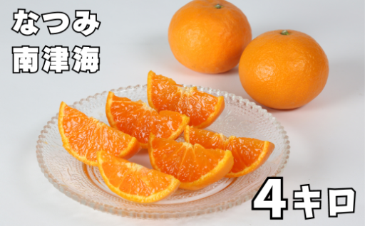 南津海[なつみ] 4kg