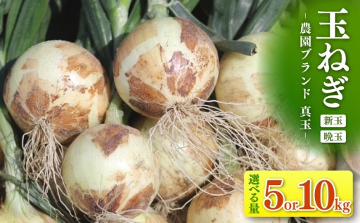 🧅口に広がる優しい甘さの玉ねぎ🧅～真玉～ 選べる量【5kg】【10kg】（箱の重さ込み）