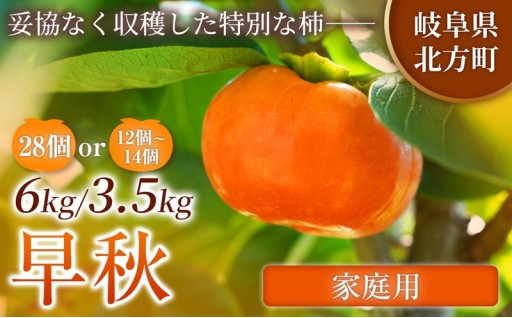 【家庭用】 早秋 柿 1箱 ( 選べる容量 ) 先行予約 令和8年10月中旬順次発送