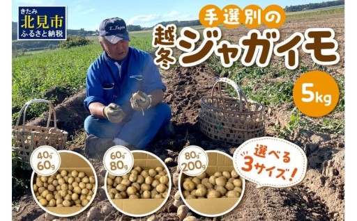 手間を惜しまず大切に育てたじゃがいも✨