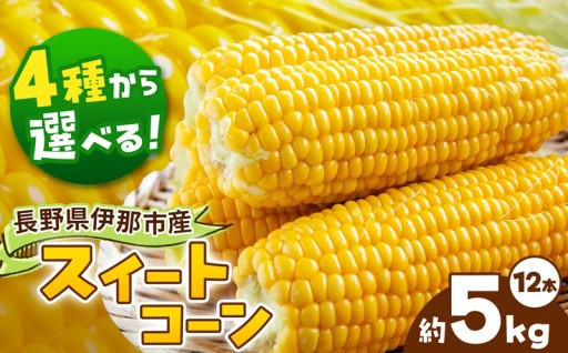 品種が選べる とうもろこし 12本入り