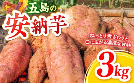 焼くだけで蜜がとろける濃厚な甘み！鮮やかなオレンジ色の果肉が食欲をそそります♪