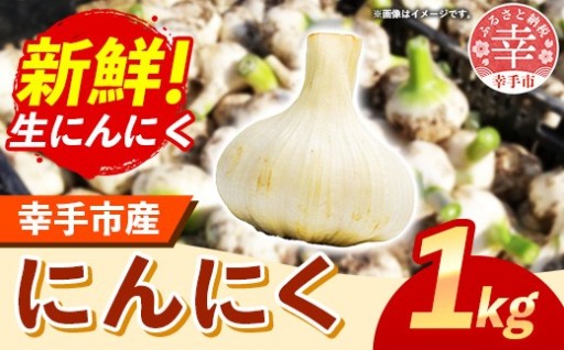 【🧄採れたての生にんにくをお届け！🧄】きあり農園 2026年度 幸手市産 にんにく 1kg