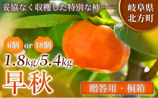 【贈答用・桐箱】 早秋 柿 ( 6個 / 1.8kg ) 選べる箱数 先行予約 令和8年10月中旬順次発送