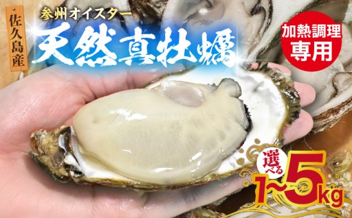 ✨佐久島産天然真牡蠣 参州オイスター✨選べる【1～5kg】