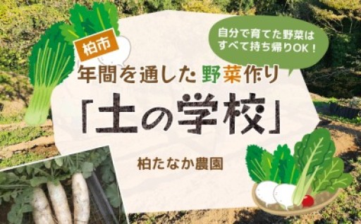 畑で学ぶ本格野菜づくり
