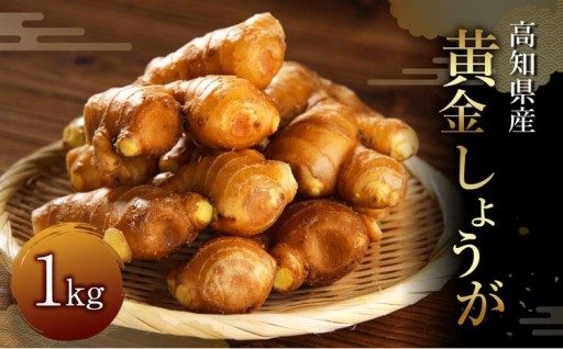 黄金しょうが 約1kg 