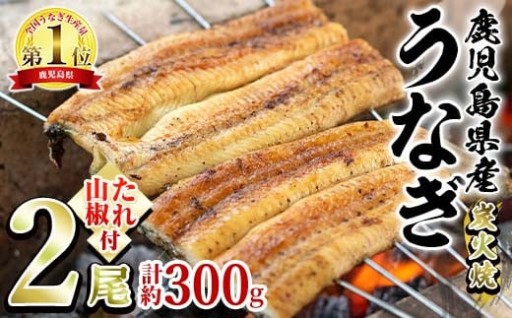 東串良町のうなぎ炭火白焼(無頭)(2尾・計約300g・タレ、山椒付) 