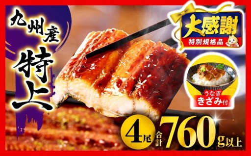 【宮崎県宮崎市】【大感謝祭】うなぎ蒲焼+きざみ付