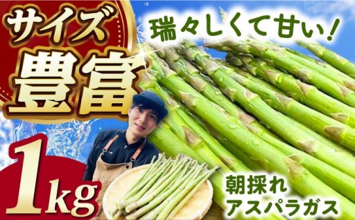 島の恵みが凝縮！瑞々しい朝採れアスパラガス
