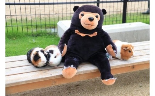 周南のほほんマレーグマ