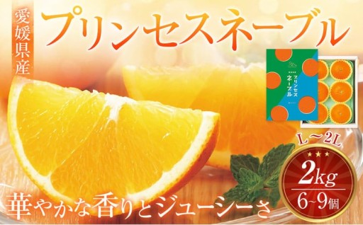 愛媛県産 プリンセスネーブル L～2Lサイズ 2kg（6～9個）
