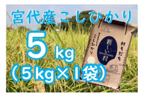 【令和7年産】宮代産コシヒカリ村そだち　5ｋｇ