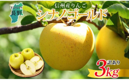 ＜26年10月下旬頃～発送 先行予約＞長野県産 りんご シナノゴールド 訳あり 約3kg