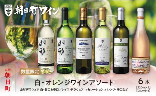 受付再開！ワイン白・オレンジワインアソート