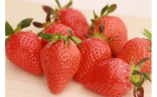 群馬のいちご・やよいひめ（12粒入を2ケース）