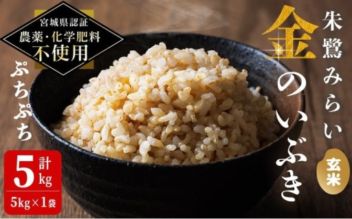 ＜宮城県認証 農薬・化学肥料不使用＞金のいぶき 玄米 5kg(5kg×1袋)