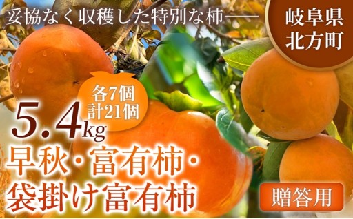 【定期便 3回】特選 銘柿リレー便 贈答用 早秋 富有柿 ( 各7個 / 1.8kg )