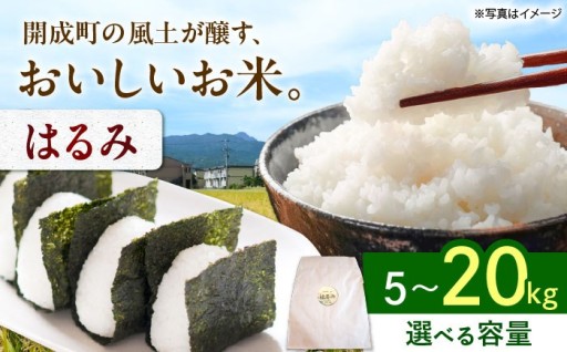 【冷めてもおいしい！】開成町のブランド米はるみ