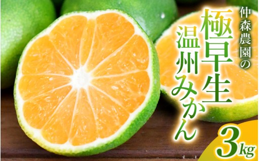 仲森農園の極早生温州みかん 約3kg