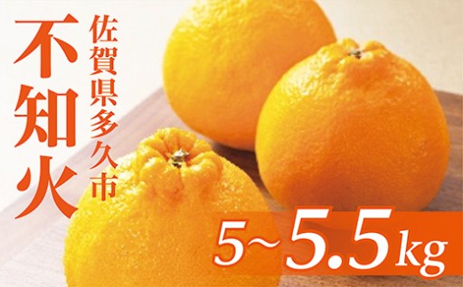 【3月末頃から順次発送】数量限定 山崎農園の不知火（しらぬい）5～5.5kg 2L玉
